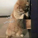 emoji_107 custom emote | NV