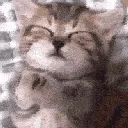 z_MIMIR