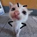 and custom emote - '' ₊🌷⁺ Ask To DM ❥ Egirls ❥ Nitro ❥ Make Friends ❥ VC ❥ Tags ❥ Hangout ❥ Ask2DM ❥ Sfw ❥ Non Dating