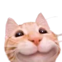hehcat