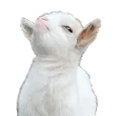 GGK