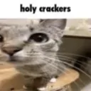 holy_crackers