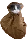 soggy_bag