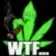 4_WTFweed