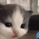 HUH