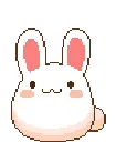 307831bunnybounce