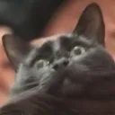 spooked