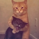 An orange cat holds a gray cat tightly while the gray cat sticks its tongue out.