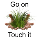 Touch_Grass Discord sticker | NECROPOLIS