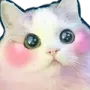 catblush
