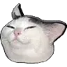 catsmug