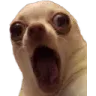 oooo