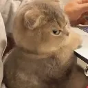 angysideeye