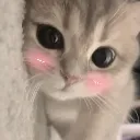 blush