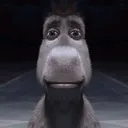 okaybro