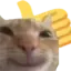 Meow_okay Meow_okay