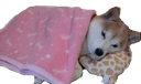 blankymode Discord emoji