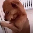 __