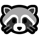 raccoon