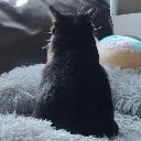 donttalktome