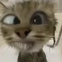 emoji_66
