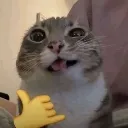 emoji_71