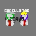 gtagleaks