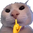 mewing_kitty