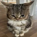 emoji_26