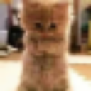 emoji_38 Discord sticker from ÆON