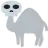 SkullCamelDiego