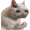 whatisthis custom emote from /Lightx | Social • Chat • VC • Emotes • Chill • Fun • Active