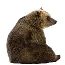 emoji_14
