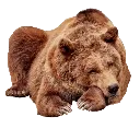 emoji_15