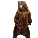 emoji_16