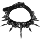 a_spikecollar