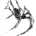b_spider