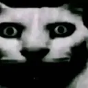 i_saw_that_brodie_ima_touch_you