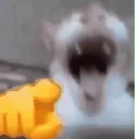 laugh