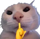 shh