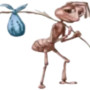 zfunny_ask2sob zfunny_ask2sob