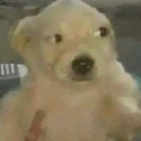 emoji_55 custom emote - ESTRELLAS 💫