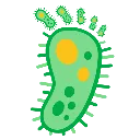 b_foot_fungus