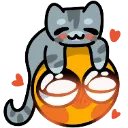 o_cat_hat