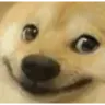 dogesmile dogesmile