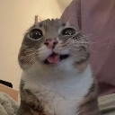 emoji_1 Discord Emoji - The Ecchi Onsen