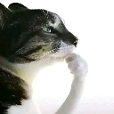 emoji_3 custom emote | The Ecchi Onsen