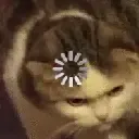 catloading