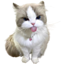 198273cutecattongue custom emote - iamsanna