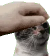 emoji_26